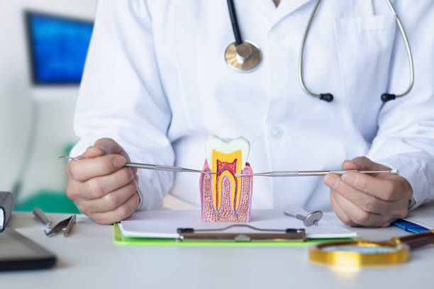 Best Urgent Dental Care for Toothaches in Stockdale, TX